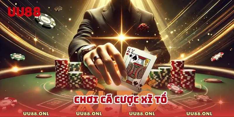 Chơi cá cược Xì Tố